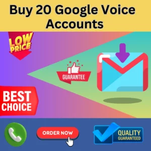 Buy 20 Google Voice Accounts – PVA Mails