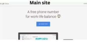 Delete Google Voice account