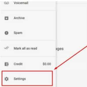 Delete Google Voice Account